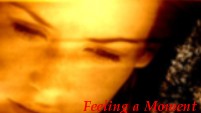 Feeling a Moment