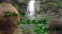 Dont Leave Again