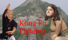 Kung Fu Fighting