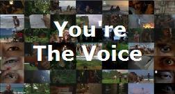 You're The Voice