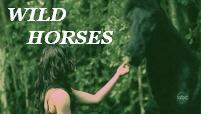 Wild Horses