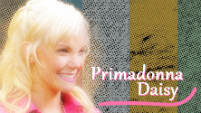 Primadonna Daisy